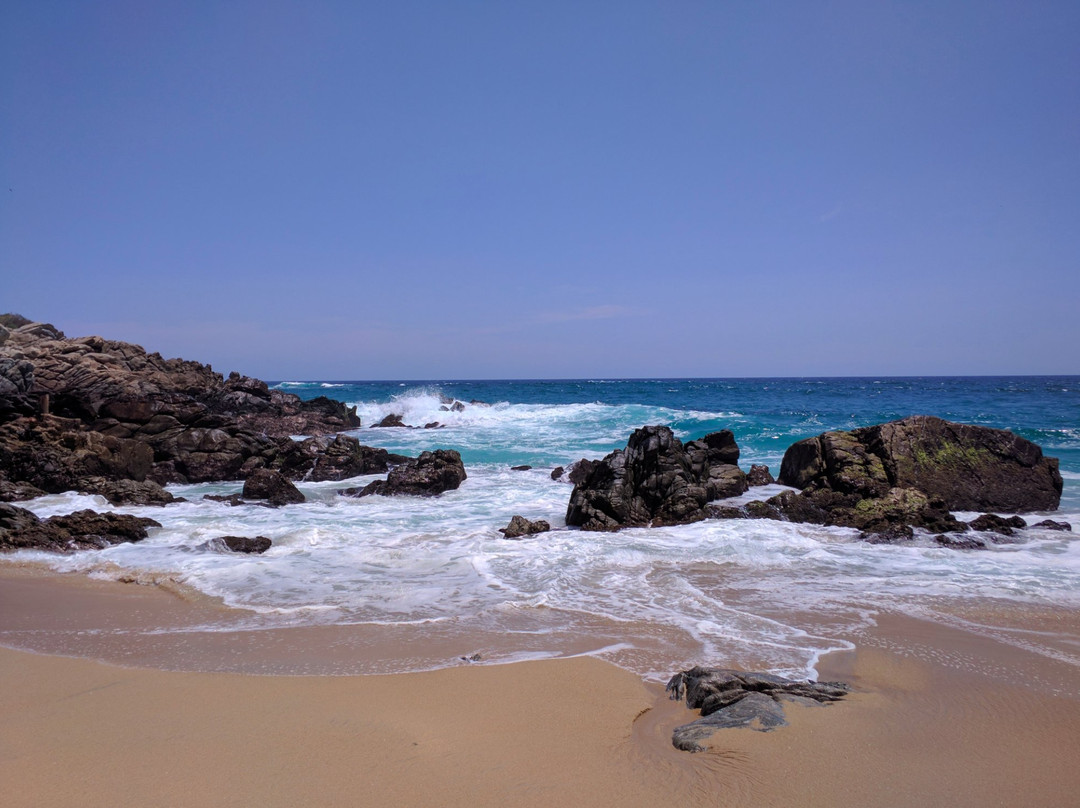 Playa Bacocho景点图片