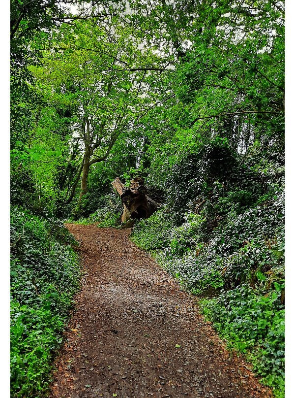 Townley Hall Wood-Tullyallen必去景点