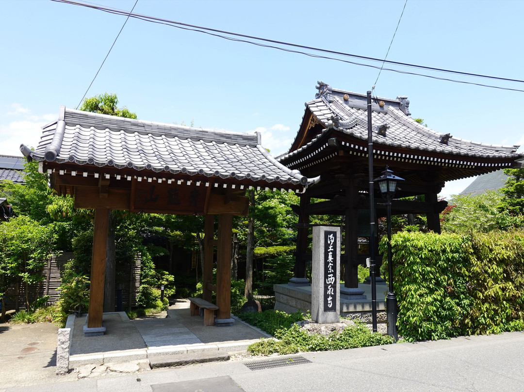 Saie-ji Temple景点图片