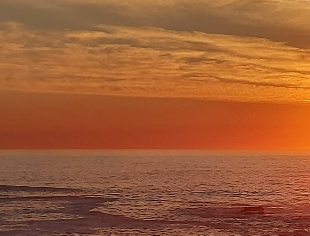 Amazing Seaview
