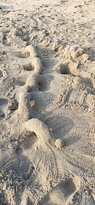Tanto Far Beach Guest House主图