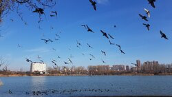 The Solnechny Ostrov (Sunny Island) Park-克拉斯诺达尔必去景点