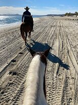 Baja's Awesome Beach Rides-Los Barriles必去景点