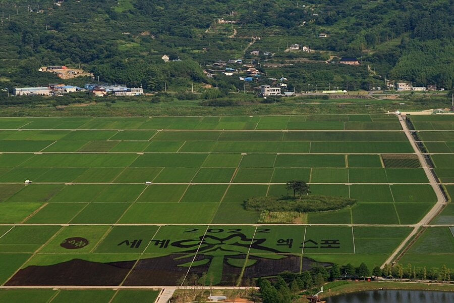 스타웨이하동-河东郡必去景点