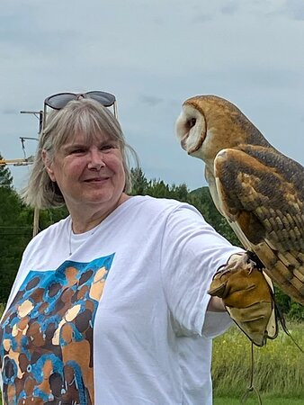 New England Falconry-伍德斯托克必去景点