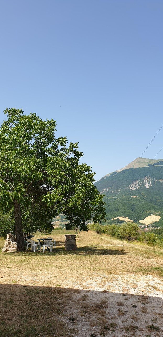 La Collina Degli Ulivi-浴室