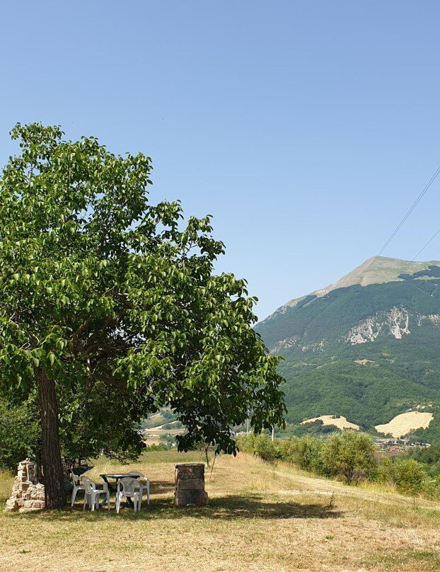 La Collina Degli Ulivi主图