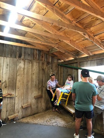 Cosmos Mystery Area-拉皮德城必去景点