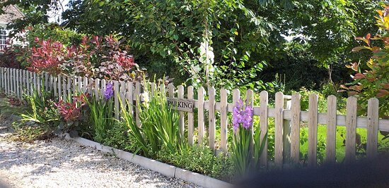 Sidmouth Bed & Breakfast主图