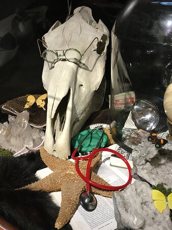 Science Museum of Western Virginia & Hopkins Planetarium-罗阿诺克必去景点