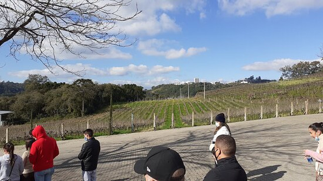 Alto da Serra Turismo Gramado-卡内拉必去景点