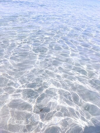 Spiaggia di Tonnarella-马扎拉－德尔瓦洛必去景点