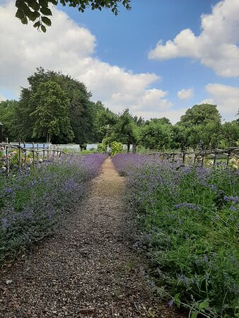 Chenies Manor House And Gardens-Chenies必去景点