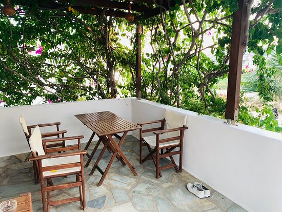 Studios Hippocampus主图