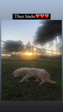 Fazenda Ercoara-Cristalina必去景点