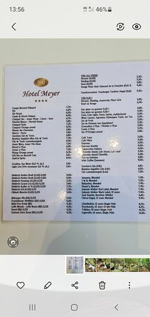迈耶酒店主图