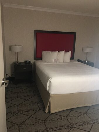 Best Western Plus Rose City Suites主图