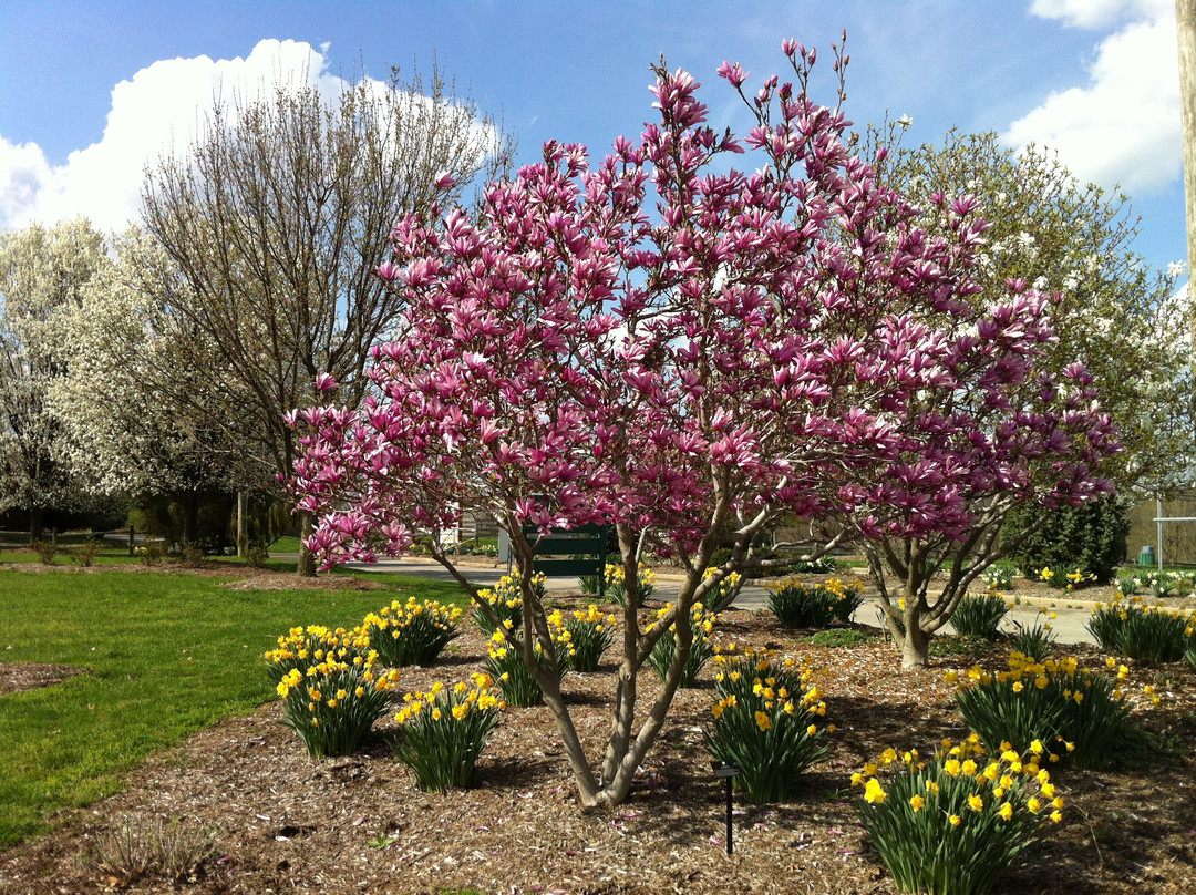 Boone County Arboretum景点图片