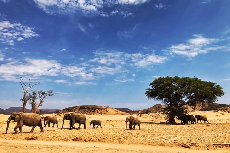 !Nari Sarima Tours & Safaris