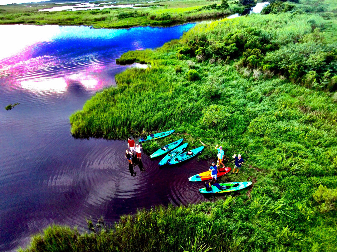 Bayou Adventure景点图片