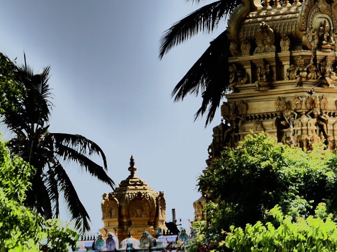 Karukathamman Temple景点图片