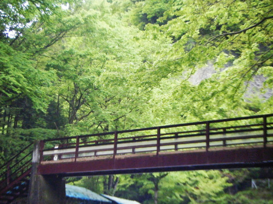 America Camp Village-奥多摩町必去景点