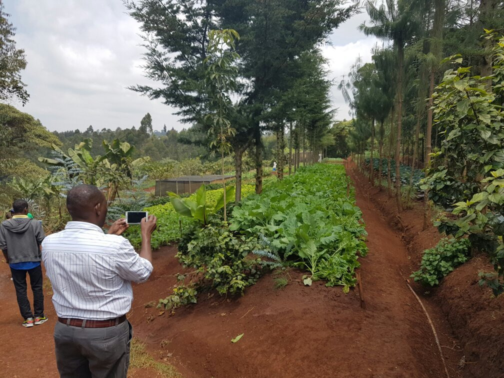 Mlango Farm-黎木鲁必去景点