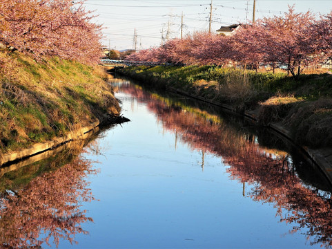 久喜市旅游攻略图片