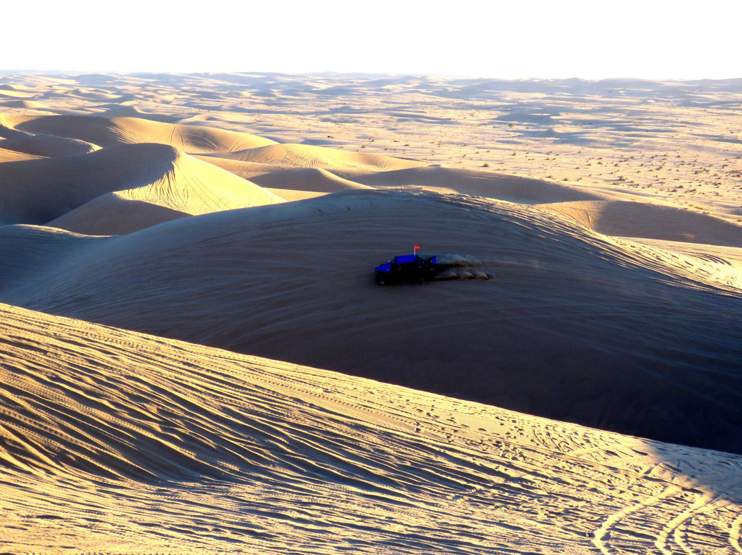 Niland旅游攻略图片