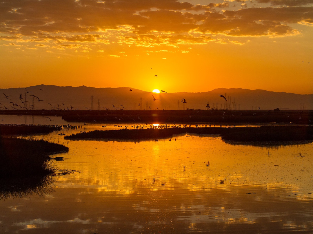 门洛帕克旅游景点-Bedwell Bayfront Park