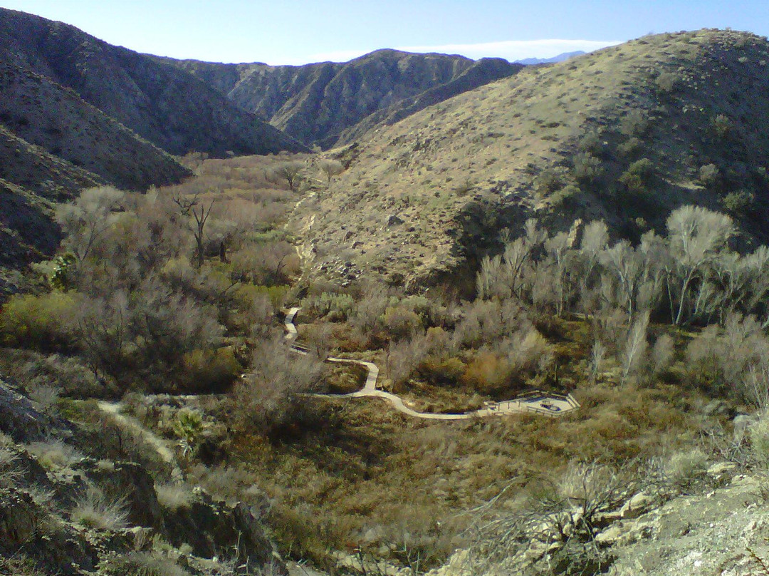 探索Morongo Valley