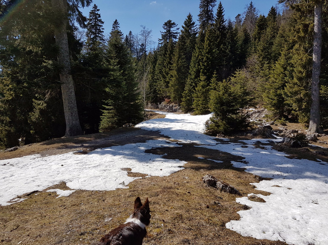 Biere旅游攻略图片