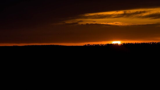 居延海-额济纳旗必去景点