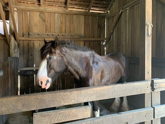 Timbertown Wauchope-Wauchope必去景点