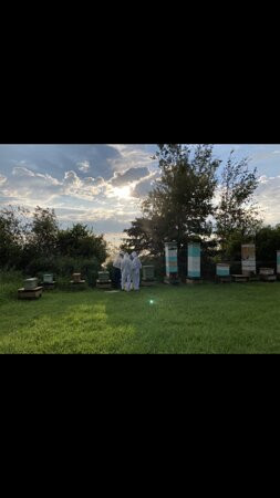 Christy Creek Honey-比榭湖必去景点