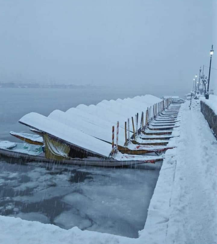 Hotel Royal Savoy Kashmir主图