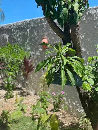 Pousada Brisa Del Mar主图