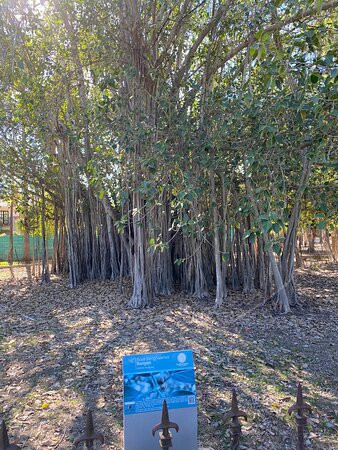 Parque Sinaloa-Los Mochis必去景点