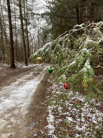 Tree Farm Trail-Peninsula必去景点