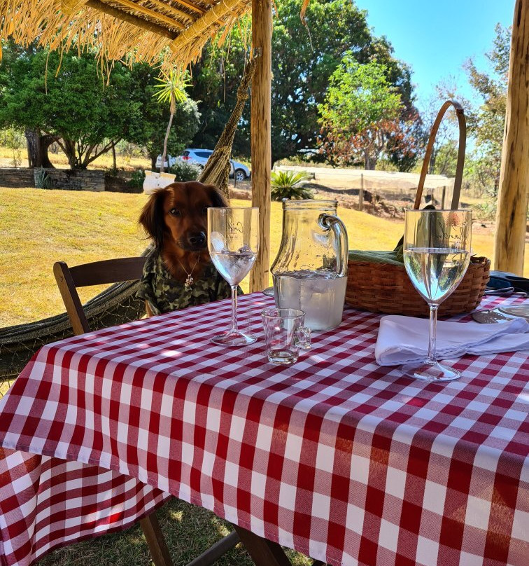 Pireneus Vinhos e Vinhedos-Cocalzinho de Goias必去景点