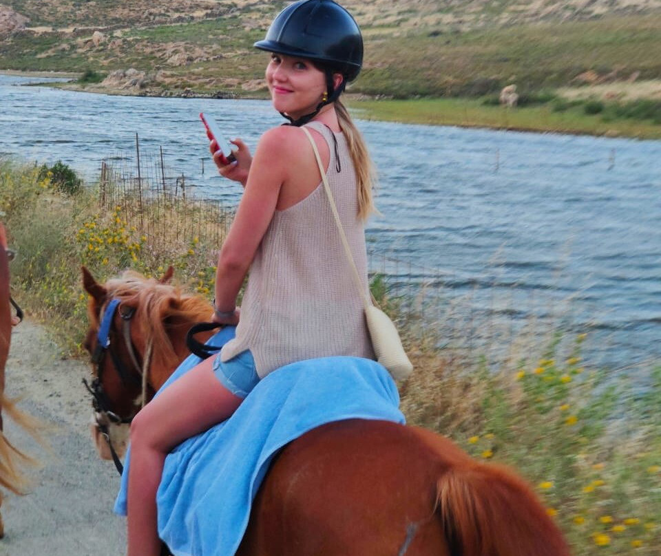 Mykonos Horseland景点图片