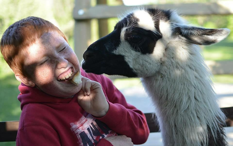 Bim Bum Baaam Fantaparco Fattoria Didattica-Bussoleno必去景点