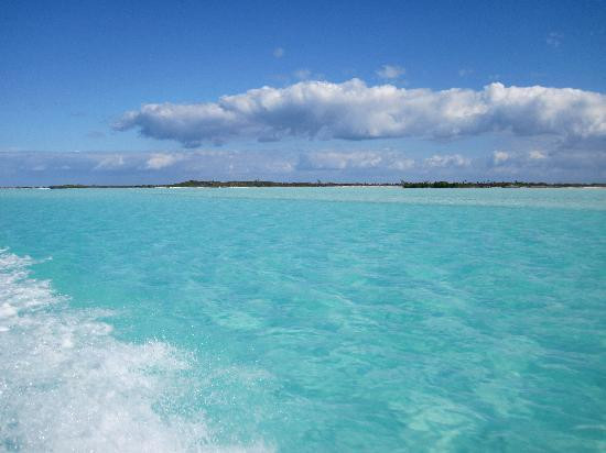 Exuma Cays Adventures-大埃克苏马必去景点