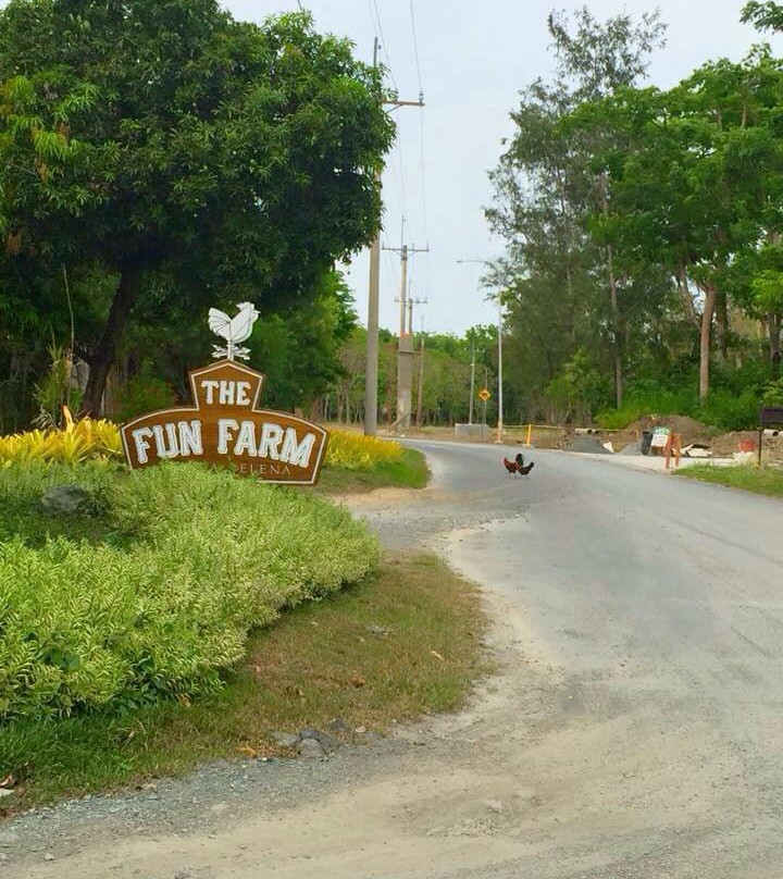 Fun Farm at Sta. Elena景点图片
