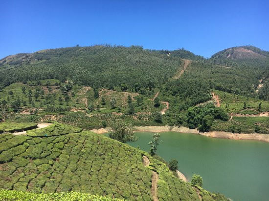 Fortkochi Taxi Cab-Fort Kochi必去景点