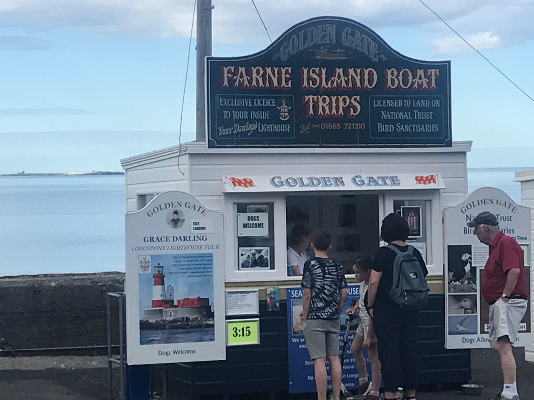 Golden Gate Farne Islands Boat Trips景点图片