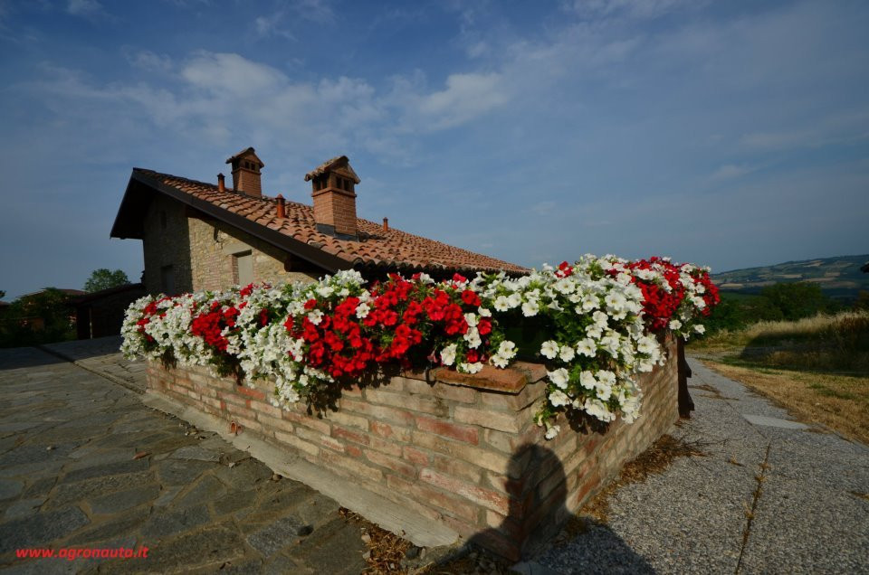 Agriturismo Agronauta