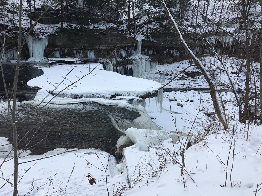 Tinkers Creek Viaduct Park景点图片