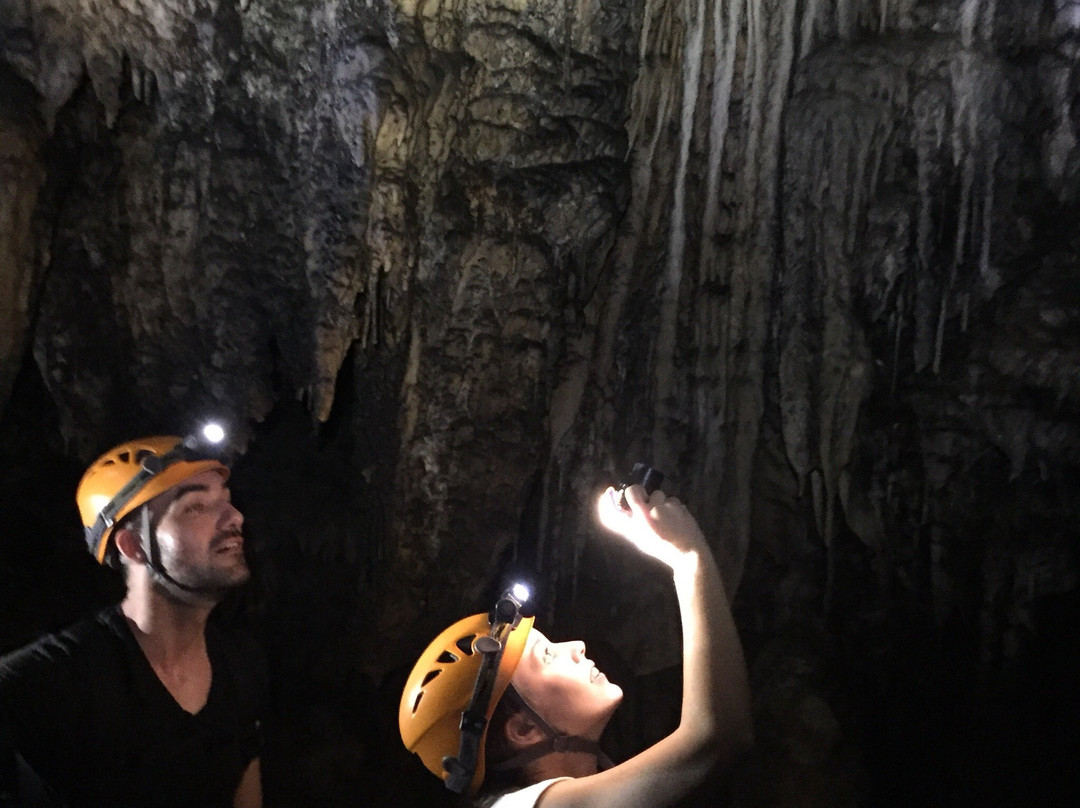 Phong Nha Caves Tour Center景点图片