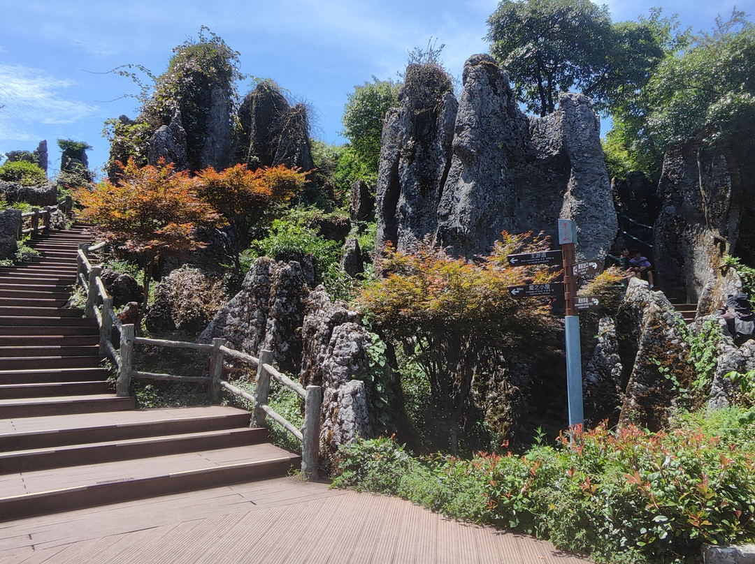 华蓥山旅游区景点图片